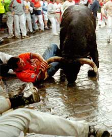Los 'miuras' finalizan los encierros con una carrera limpia y rápida