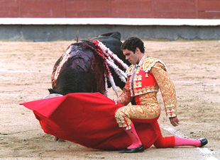 El diestro José Tomás se retira por un tiempo de los ruedos