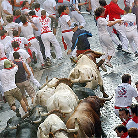 Los toros de la ganadería gaditana de 