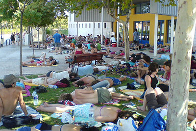 Decenas de  fibers  echan la siesta a la sombra de los árboles del polideportivo municipal de Benicàssim.