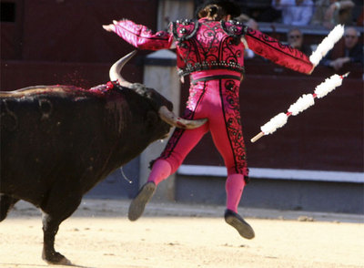 El banderillero El Ruso, corneado por el toro  Sombrerero  en la novillada de la Feria de San Isidro.