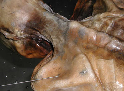 Imagen de archivo del llamado Ötzi o 