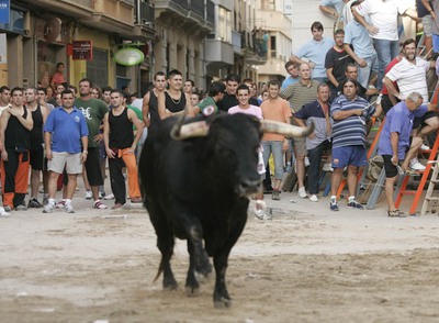 Espectáculo de 'bous al carrer', en septiembre pasado en Burriana.