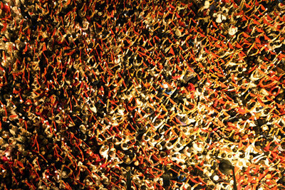 FOTOGALERIA: 'Pobre de mi'