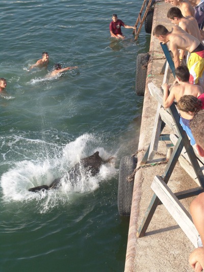 ¿Y los 'correbous'?