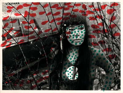 FOTOGALERIA: 'Auto-obliteración'