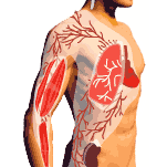 La Vuelta 2003 endurece su recorrido y se reencuentra con los Pirineos