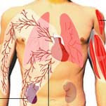 El Tribunal de Arbitraje del Deporte confirma la sanción de dos años a Johann Muehlegg