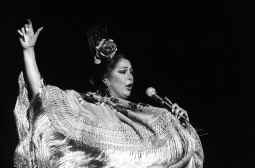 El arte
GUILLEM MARTÍNEZ