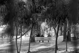 El jardín de los sentidos