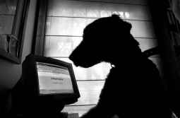 Cibergarrapatas AGUSTÍ FANCELLI