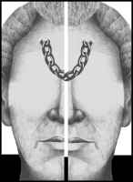 La droga más dura JAVIER CERCAS