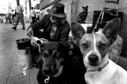 Mendigos con mascota