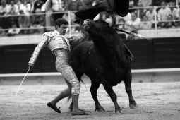 Toros y toreros de lujo