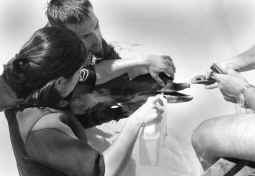 Hospital para delfines