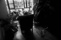 Una caseta de playa en casa ENRIQUE VILA-MATAS