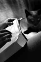 Lecturas enormes PEDRO ZARRALUKI