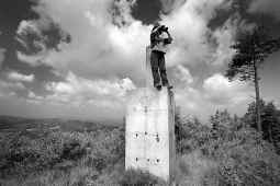 Vigilantes del bosque