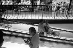 Un día en el centro comercial
XAVIER MORET