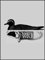 El progreso balear
JOSEP M. MUÑOZ