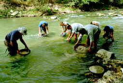 Buscando oro en el Segre