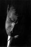 AGENDA
Bill Charlap, en el Jamboree