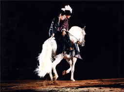 En el callejón
JOAN DE SAGARRA