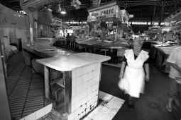 Psicosis de gasolina y pescado
XAVIER MORET