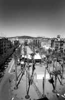 LA CRÓNICA
La de Troya MERCEDES ABAD