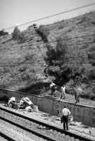 Despeñado y arrollado por un tren