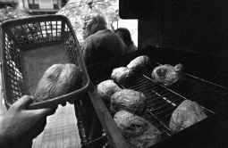 El Rey de la Patata
ISABEL OLESTI