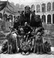 Leones en la noche JACINTO ANTÓN