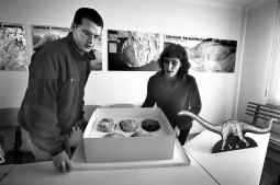 Huevos de dinosaurio muy enteros