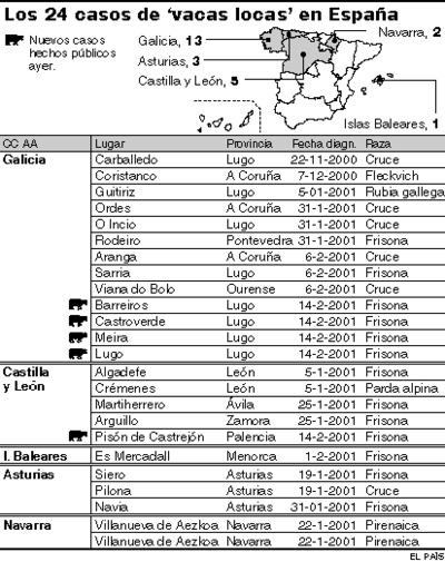 El dueño de una 'vaca loca' afirma que nunca compró piensos cárnicos