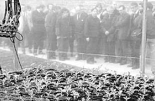 El presidente de la Fundación Eragintza y de la BBK inauguró ayer en Basauri inauguró un taller de jardinería para enfermos mentales.