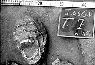 Restos humanos hallados en las excavaciones de la plaza Juan de la Cosa, de El Puerto de Santa María.