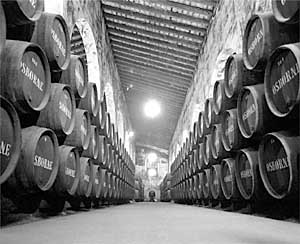 Bodegas de Osborne en el Puerto de Santa María.