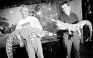 Nuevos inquilinos en el Aquarium