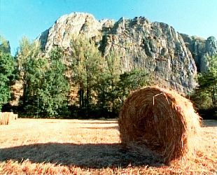 Fotograma del capítulo dedicado a la energía de la biomasa.