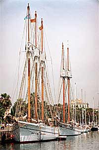 Barcos de principios de siglo en el Port Vell (Moll de la Fusta) de Barcelona, en espera del comienzo de una regata: 