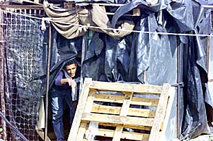 Un inmigrante, en una chabola en la finca Doñana 2000.