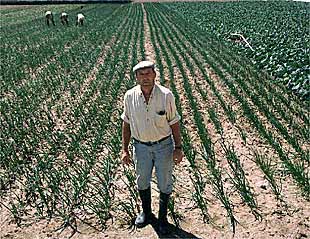 José Antonio Pérez, agricultor de Fuenlabrada, en una imagen tomada en una imagen tomada en sus sembrados.