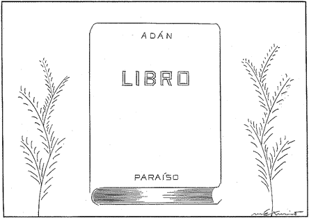 MÁXIMO