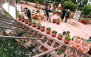 El  jardín del cambalache , en la Fundación Tàpies.