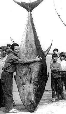 Habitantes de Santi Petri, junto a un atún.