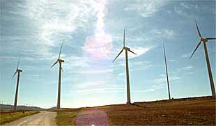 Molinos en el parque de La Higueruela, en Albacete, el mayor de Europa, con 169 aerogeneradores.