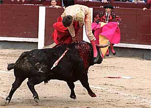 Eugenio de Mora es corneado ayer al entrar a matar a su primer toro, el segundo de la tarde, de nombre    Fermentado. 
