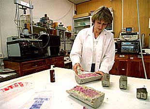 Carmen Andrade, directora del Instituto Torroja, el pasado abril en una de las salas de trabajo del centro.