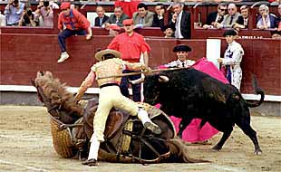 El sexto toro de la tarde derriba al picador durante el tercio de varas.
