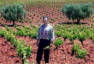 Justo Sánchez Martín, en su finca de viñedos ecológicos.